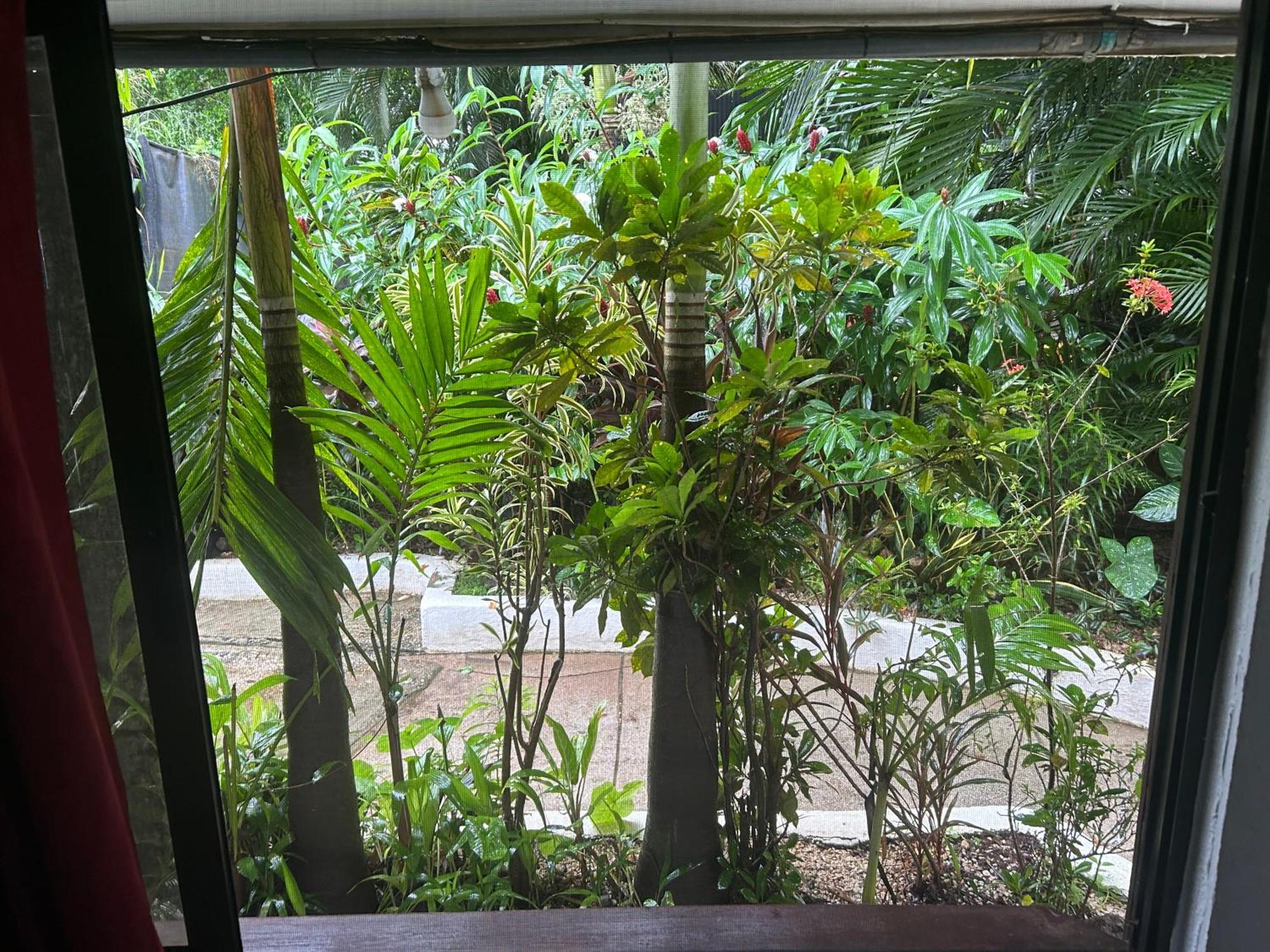 Pura Vida Hostel Tamarindo Zewnętrze zdjęcie