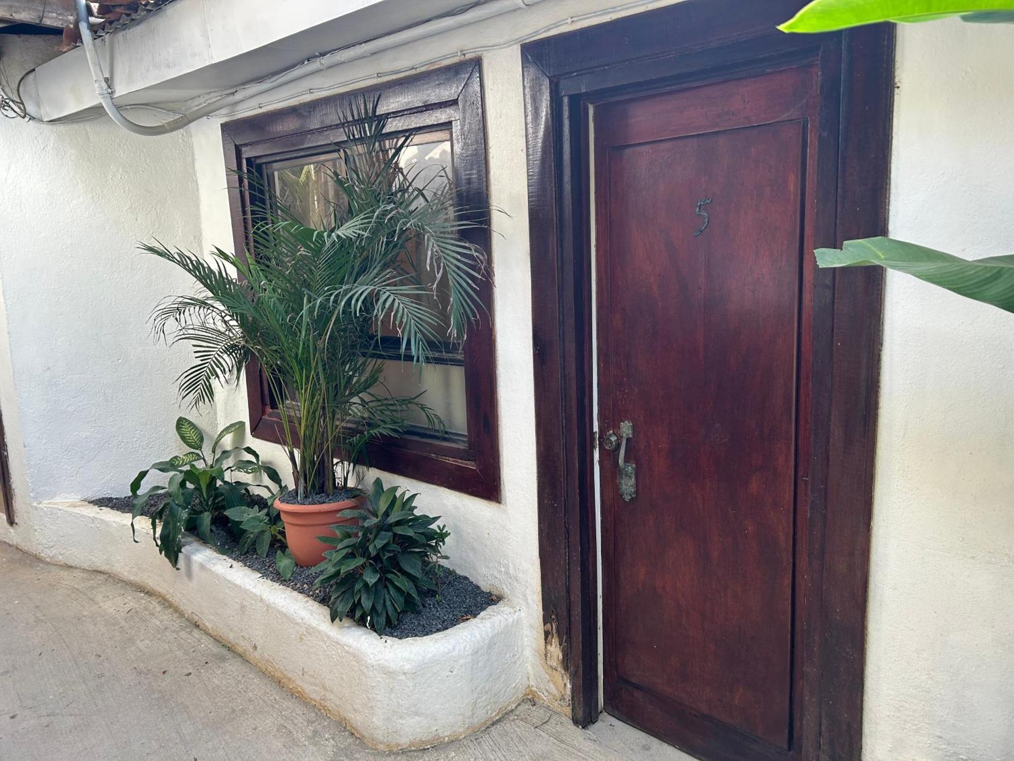 Pura Vida Hostel Tamarindo Zewnętrze zdjęcie